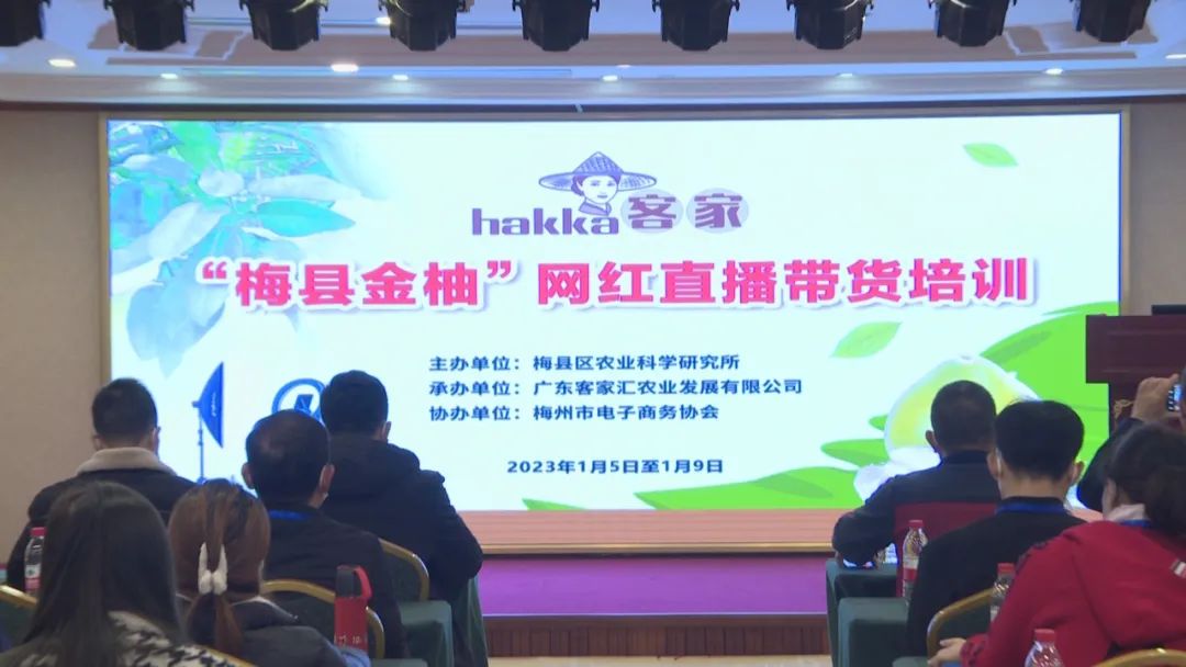 梅縣區(qū)開(kāi)展“梅縣金柚”網(wǎng)紅直播帶貨培訓(xùn)